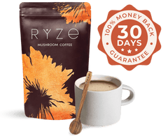 Free Premium Gift Bundle